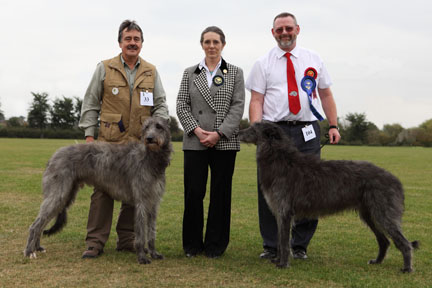 BOB & Reserve best Dog